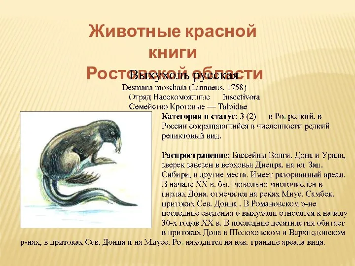 Животные красной книги Ростовской области