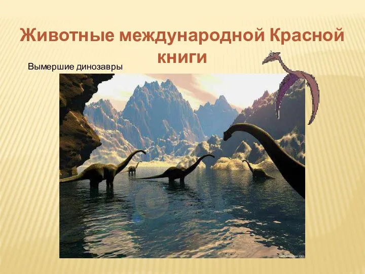 Животные международной Красной книги Вымершие динозавры