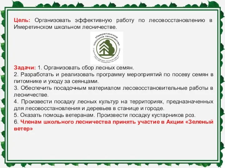 Цель: Организовать эффективную работу по лесовосстановлению в Имеретинском школьном лесничестве.