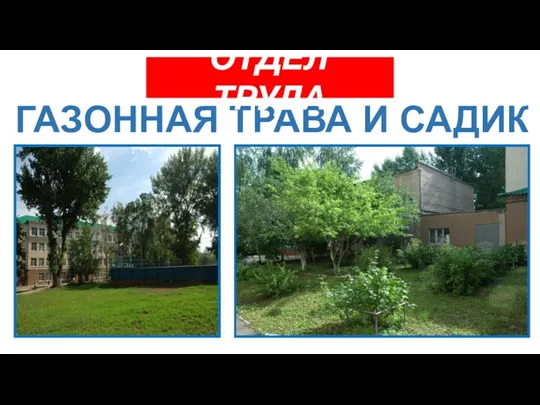 ГАЗОННАЯ ТРАВА И САДИК ОТДЕЛ ТРУДА