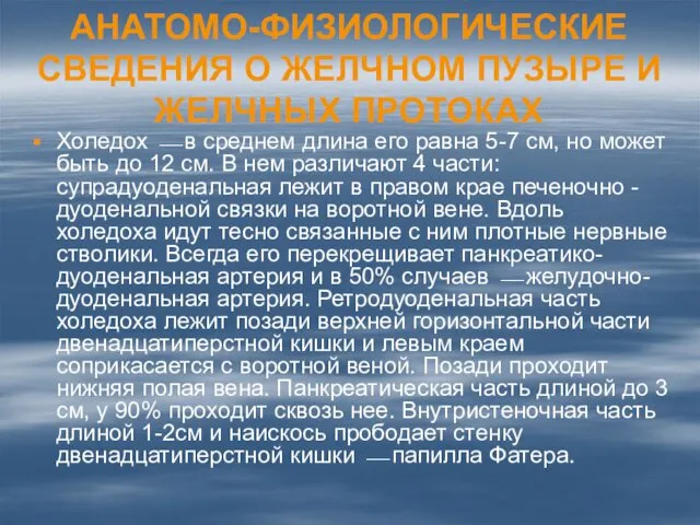 АНАТОМО-ФИЗИОЛОГИЧЕСКИЕ СВЕДЕНИЯ О ЖЕЛЧНОМ ПУЗЫРЕ И ЖЕЛЧНЫХ ПРОТОКАХ Холедох ⎯