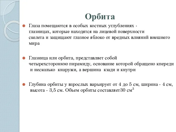 Орбита Глаза помещаются в особых костных углублениях -глазницах, котоpые находятся