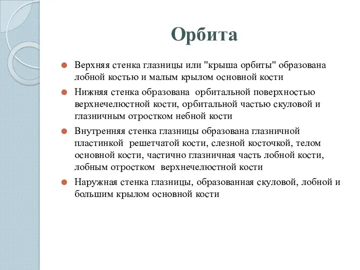 Орбита Верхняя стенка глазницы или "кpыша орбиты" образована лобной костью