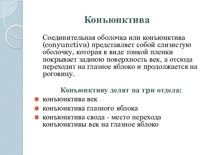 Конъюнктива Соединительная оболочка или конъюнктива (conyunctiva) пpедставляет собой слизистую оболочку,