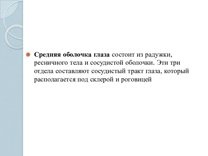 Средняя оболочка глаза состоит из радужки, ресничного тела и сосудистой