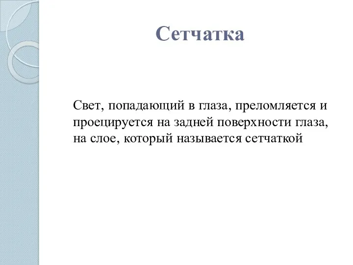 Сетчатка Свет, попадающий в глаза, преломляется и проецируется на задней