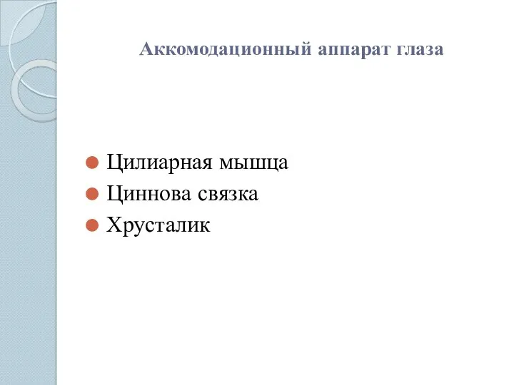 Аккомодационный аппарат глаза Цилиарная мышца Циннова связка Хрусталик