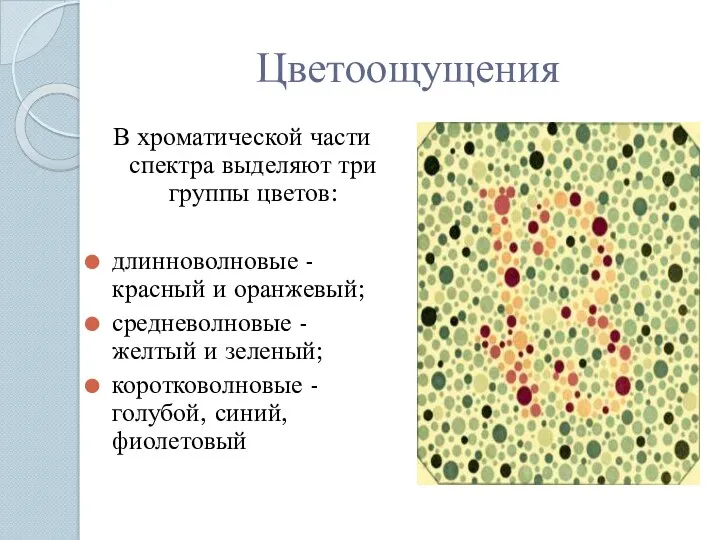 Цветоощущения В хроматической части спектра выделяют три группы цветов: длинноволновые