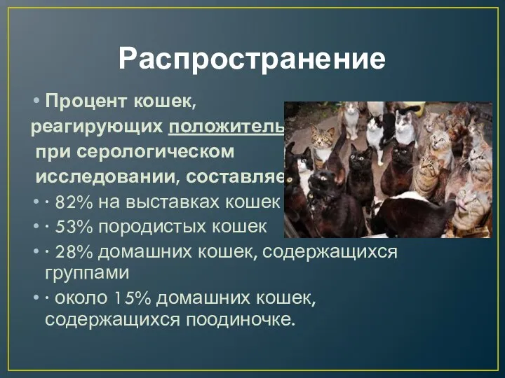 Распространение Процент кошек, реагирующих положительно при серологическом исследовании, составляет: ·