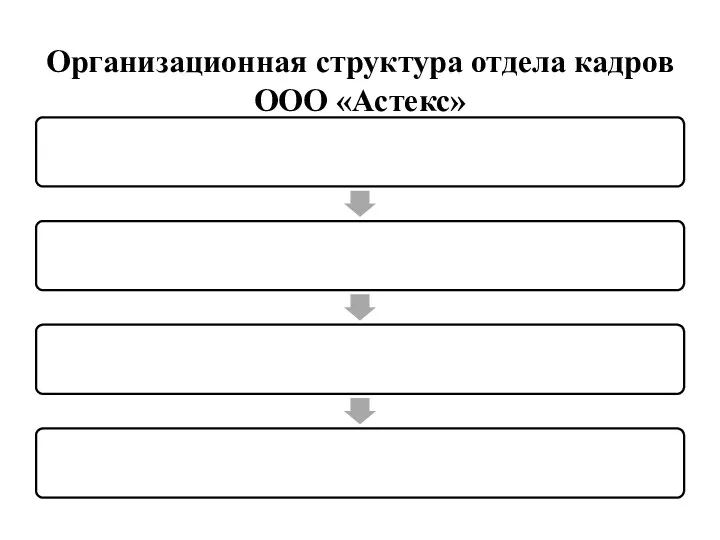 Организационная структура отдела кадров ООО «Астекс»