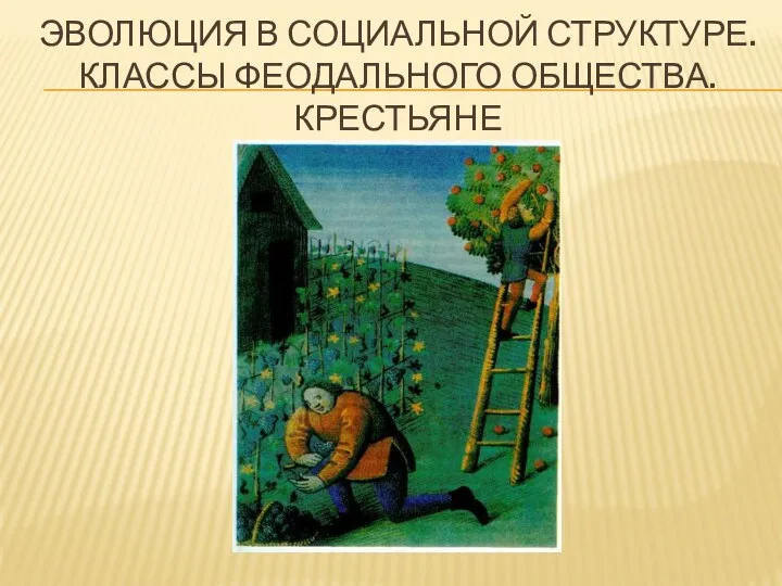 ЭВОЛЮЦИЯ В СОЦИАЛЬНОЙ СТРУКТУРЕ. КЛАССЫ ФЕОДАЛЬНОГО ОБЩЕСТВА. КРЕСТЬЯНЕ