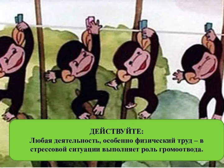 ДЕЙСТВУЙТЕ: Любая деятельность, особенно физический труд – в стрессовой ситуации выполняет роль громоотвода.