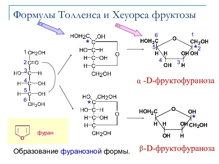 Формулы Толленса и Хеуорса фруктозы