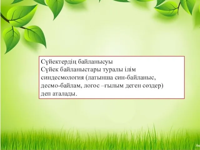 Сүйектердің байланысуы Сүйек байланыстары туралы ілім синдесмология (латынша син-байланыс, десмо-байлам, логос –ғылым деген сөздер) деп аталады.