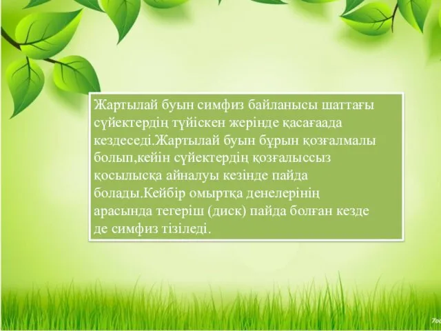 Жартылай буын симфиз байланысы шаттағы сүйектердің түйіскен жерінде қасағаада кездеседі.Жартылай