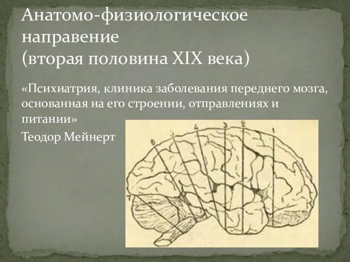 «Психиатрия, клиника заболевания переднего мозга, основанная на его строении, отправлениях