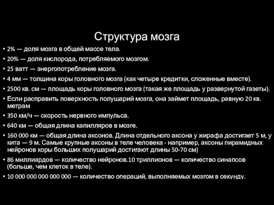 Структура мозга 2% — доля мозга в общей массе тела.