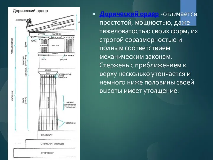 Дорический ордер -отличается простотой, мощностью, даже тяжеловатостью своих форм, их