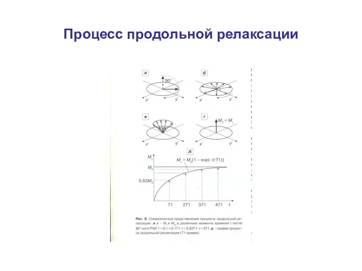 Процесс продольной релаксации