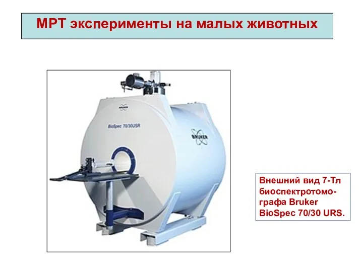 МРТ эксперименты на малых животных Внешний вид 7-Тл биоспектротомо-графа Bruker BioSpec 70/30 URS.