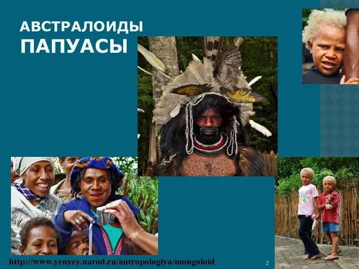 АВСТРАЛОИДЫ ПАПУАСЫ http://www.yenyey.narod.ru/antropologiya/mongoloid