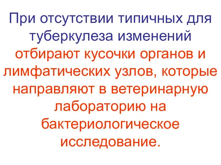 При отсутствии типичных для туберкулеза изменений отбирают кусочки органов и