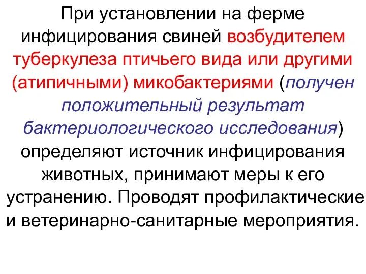 При установлении на ферме инфицирования свиней возбудителем туберкулеза птичьего вида