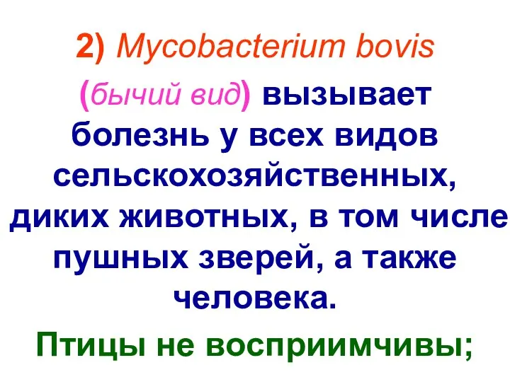 2) Mycobacterium bovis (бычий вид) вызывает болезнь у всех видов
