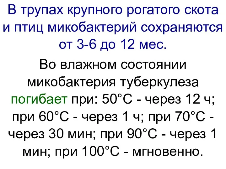 В трупах крупного рогатого скота и птиц микобактерий сохраняются от