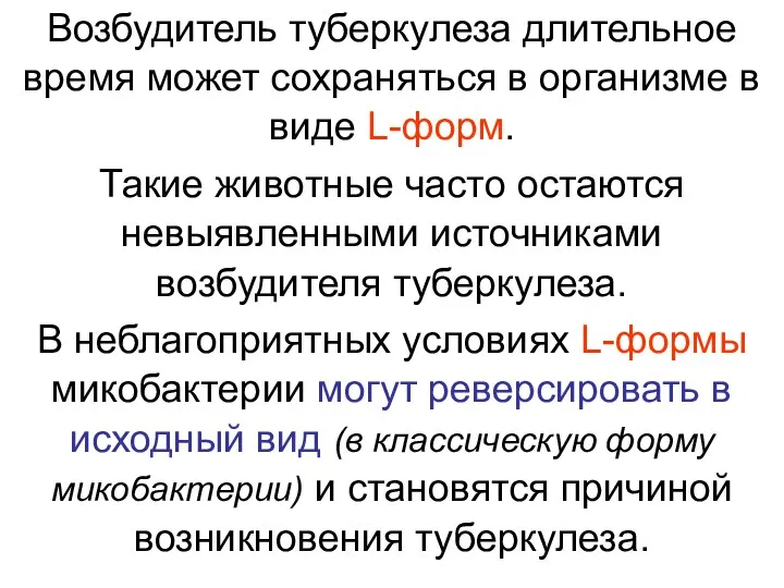 Возбудитель туберкулеза длительное время может сохраняться в организме в виде