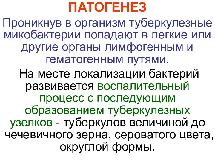 ПАТОГЕНЕЗ Проникнув в организм туберкулезные микобактерии попадают в легкие или