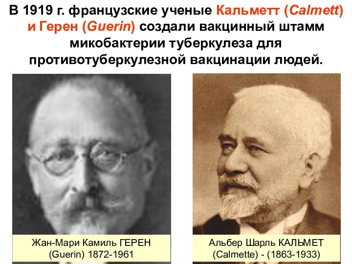 В 1919 г. французские ученые Кальметт (Calmett) и Герен (Guerin)