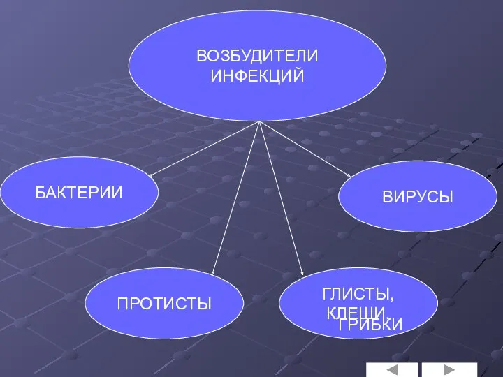 ВОЗБУДИТЕЛИ ИНФЕКЦИЙ БАКТЕРИИ ПРОТИСТЫ ВИРУСЫ ГЛИСТЫ,КЛЕЩИ, ГРИБКИ