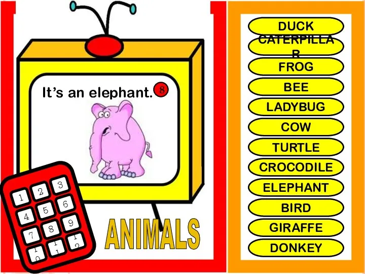 ANIMALS It’s an elephant. 1 2 3 4 5 6