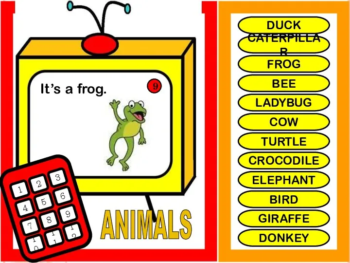 ANIMALS It’s a frog. 1 2 3 4 5 6