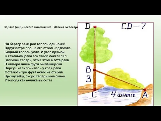 Задача (индийского математика XII века Бхаскары) На берегу реки рос