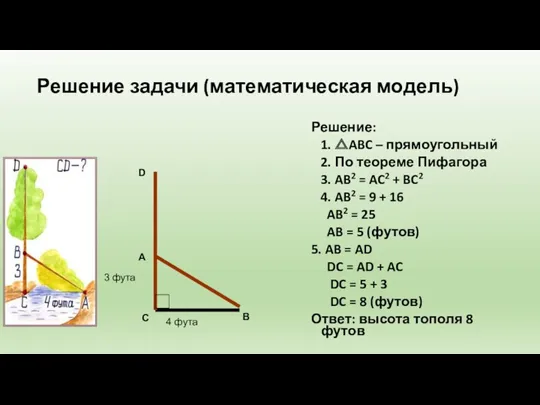 Решение задачи (математическая модель) Решение: 1. △ABC – прямоугольный 2.