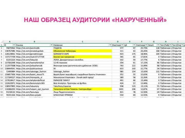 НАШ ОБРАЗЕЦ АУДИТОРИИ «НАКРУЧЕННЫЙ»