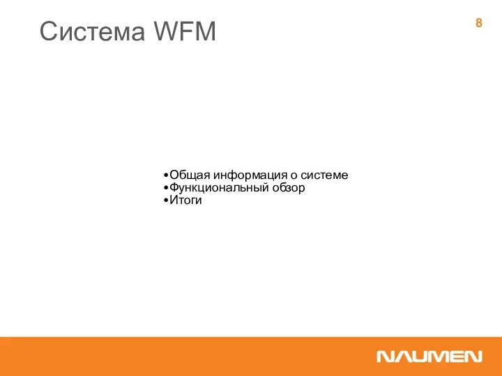 Общая информация о системе Функциональный обзор Итоги Система WFM