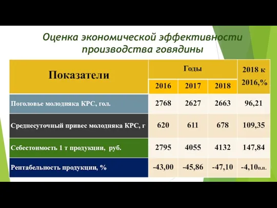 Оценка экономической эффективности производства говядины