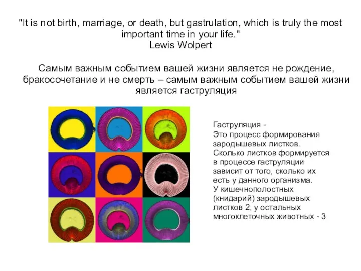 "It is not birth, marriage, or death, but gastrulation, which