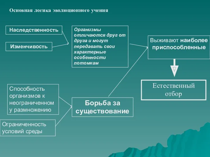 Основная логика эволюционного учения Наследственность Изменчивость Способность организмов к неограниченному