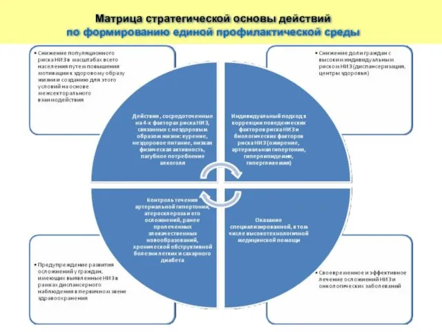 Матрица стратегической основы действий по формированию единой профилактической среды