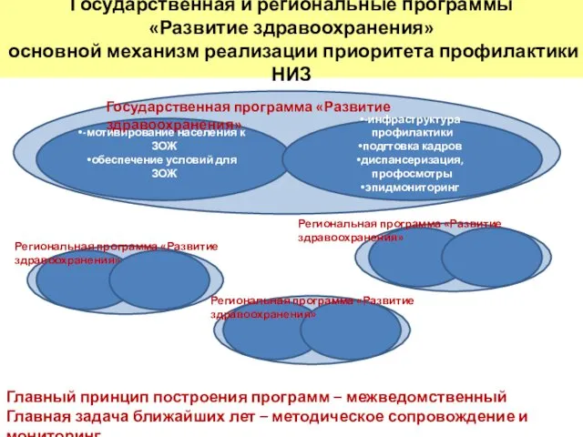 Государственная и региональные программы «Развитие здравоохранения» основной механизм реализации приоритета