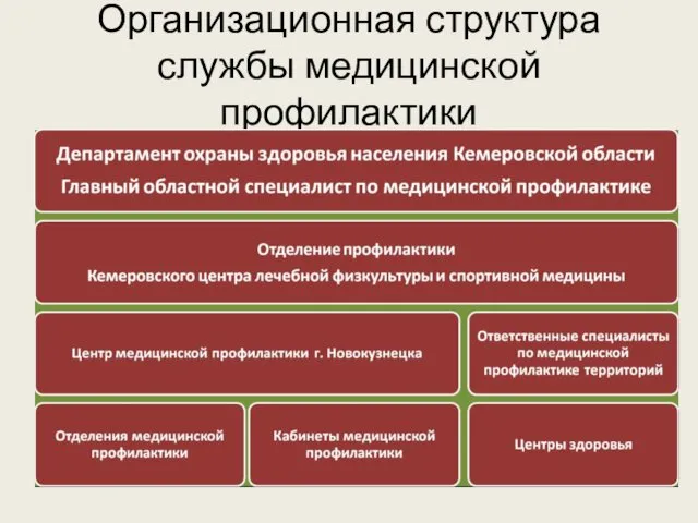 Организационная структура службы медицинской профилактики