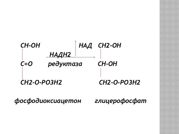 СН-ОН НАД СН2-ОН НАДН2 С=О редуктаза СН-ОН СН2-О-РО3Н2 СН2-О-РО3Н2 фосфодиоксиацетон глицерофосфат