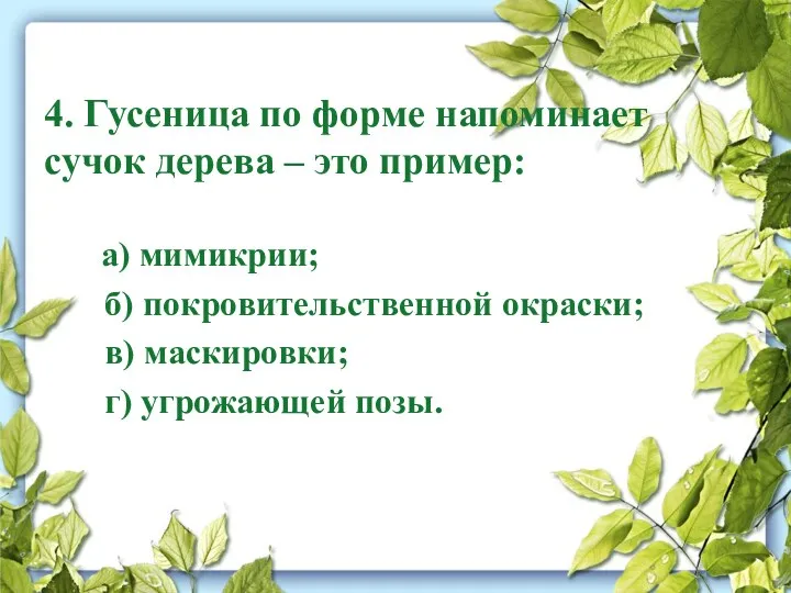 4. Гусеница по форме напоминает сучок дерева – это пример: а) мимикрии; б)