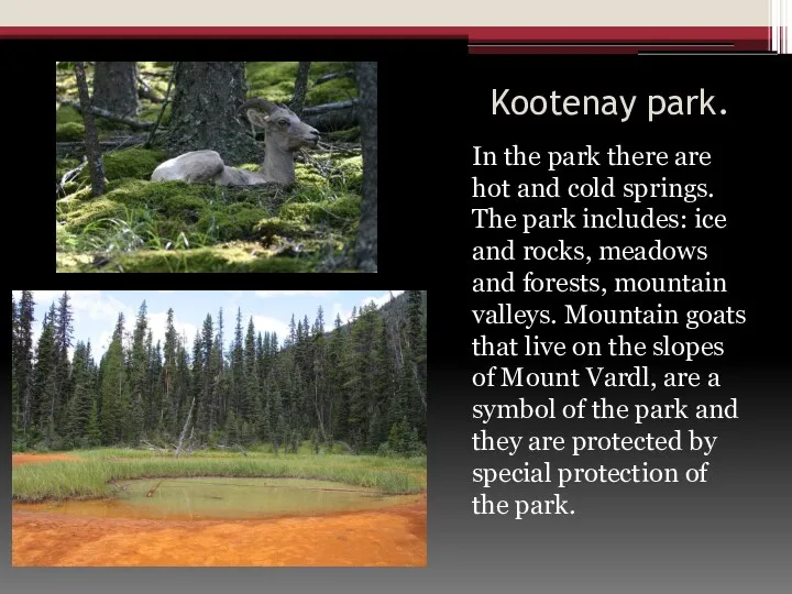 Kootenay park. In the park there are hot and cold