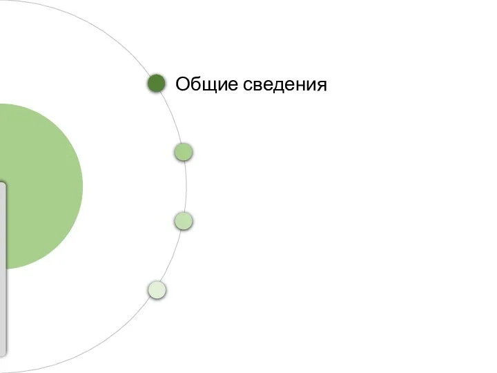 Общие сведения