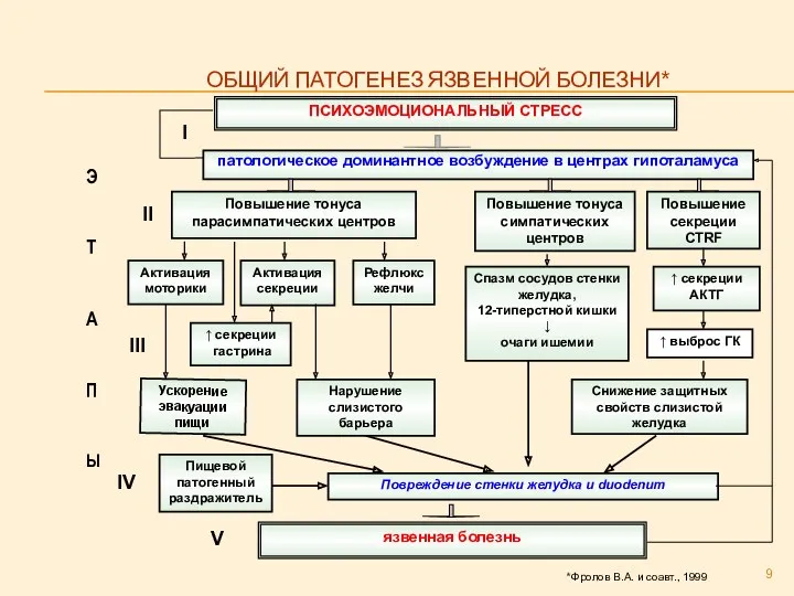 ОБЩИЙ ПАТОГЕНЕЗ ЯЗВЕННОЙ БОЛЕЗНИ* Э Т А П Ы